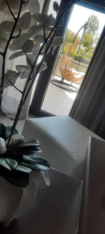Alba Magica Bed and Breakfast Agerola Εξωτερικό φωτογραφία